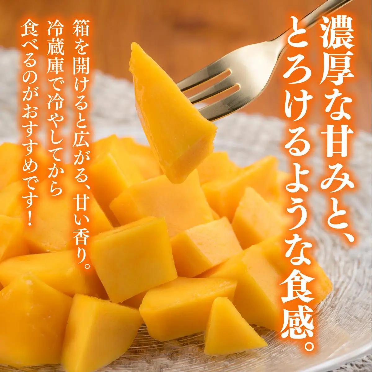 アップルマンゴー上品 約1.8kg（3～5玉）化粧箱   