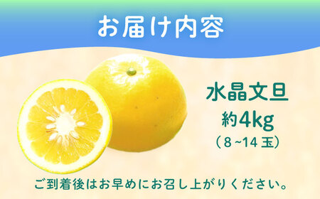 【ご家庭用】 水晶文旦 約4kg（8-14玉） 長与町/果豊園[ECL007]