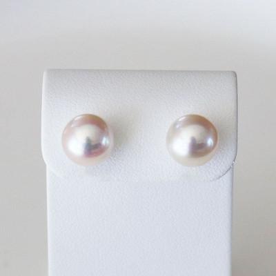 ふるさと納税 志摩市 志摩産 あこや真珠 大粒 9.5-10mm K14WG ピアス |  | 01