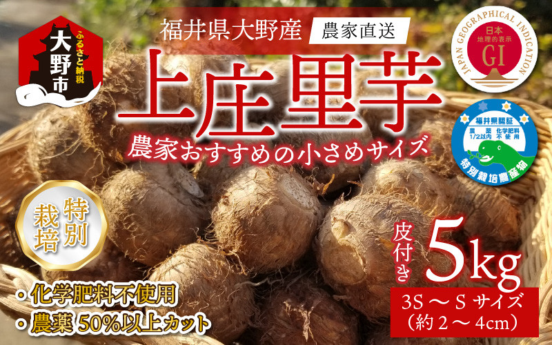 
【先行予約】上庄里芋 5kg（3S～Sサイズ）【発送月が選べる10月・11月・12月】
