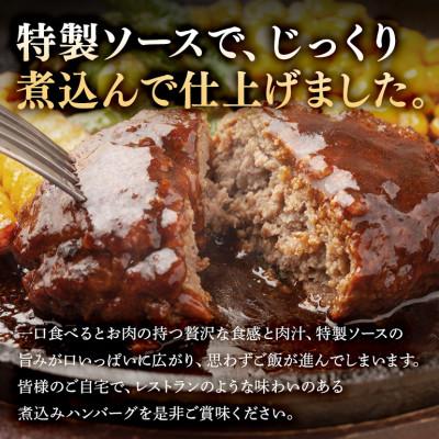 ふるさと納税 茨城町 煮込みハンバーグ 200g×6袋 |  | 02