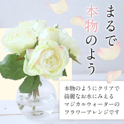 ふるさと納税 名古屋市 魔法の水　オールドローズ　マジカルウォーター(クリーム) |  | 01