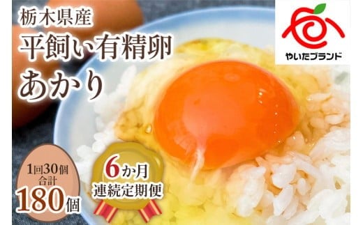 【定期便6回】[平飼い有精卵30個] 濃厚な黄身が特徴 ワタナベファームのおてんば長女【平飼い有精卵あかり】 (毎月お届け）