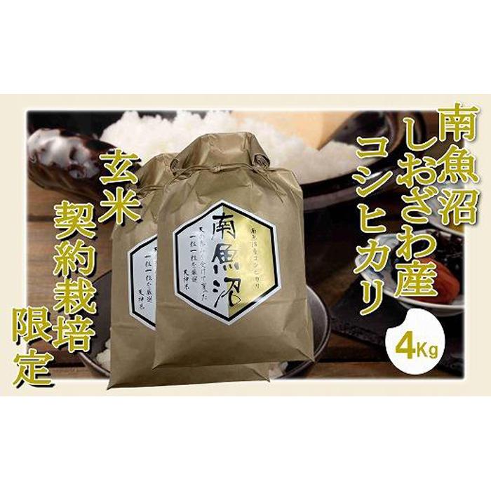 【ふるさと納税】【令和7年産】【玄米4Kg】●玄米● 生産者限定 南魚沼しおざわ産コシヒカリ【2025年10月上旬より順次発送予定】 | お米 こめ 食品 コシヒカリ 人気 おすすめ 送料無料 魚沼 南魚沼 南魚沼市 新潟県 玄米 産直 産地直送 お取り寄せ