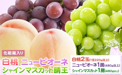 【2027年先行予約】桃 ぶどう 詰合 岡山白桃 2玉(1玉220g以上) ニューピオーネ1房(1房480g以上) シャインマスカット 晴王 1房(1房480g以上) 化粧箱入 株式会社山博《2027年7月下旬-8月中旬頃出荷》岡山県 笠岡市 フルーツ 果物 葡萄 マスカット もも お取り寄せ【配送不可地域あり】