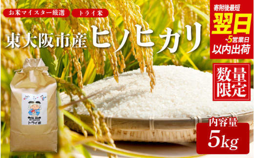 【 スピード発送!! 】令和7年度産 東大阪市産 ヒノヒカリ 5kg トライ米【 お米マイスター厳選 米 お米 白米 コメ ひのひかり 精米 新生活 応援 スピード配送 】