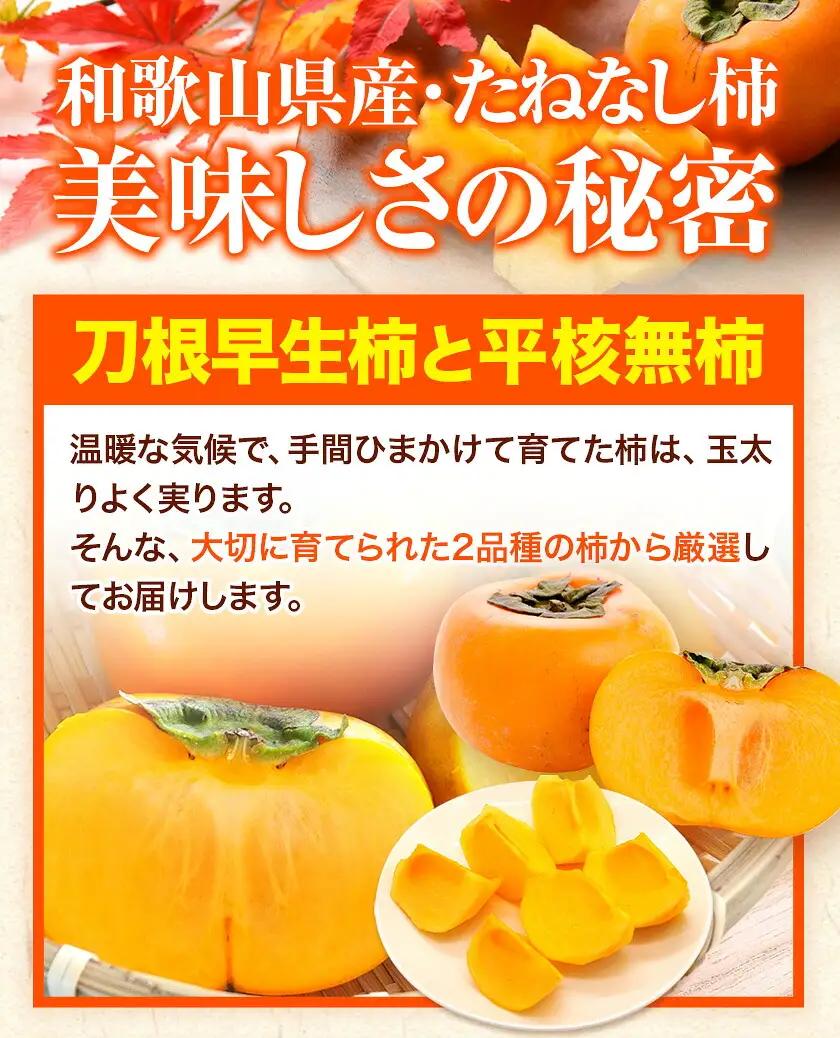 柿 たねなし柿 約4kg