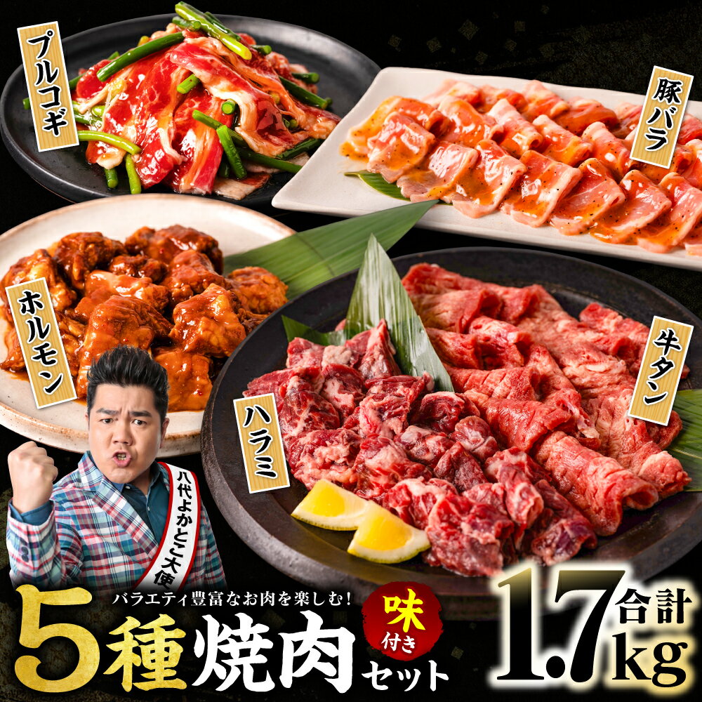 【ふるさと納税】【訳あり】焼肉 セット 5種盛り 計1.7kg 食べ比べ タン ハラミ ホルモン プルコギ 豚バラ 味付き 牛タン 牛肉 豚肉 冷凍 焼き肉 人気 BBQ オリジナルのタレ バラエティ豊富 ファミリーパック 晩酌 ビールのお供 送料無料