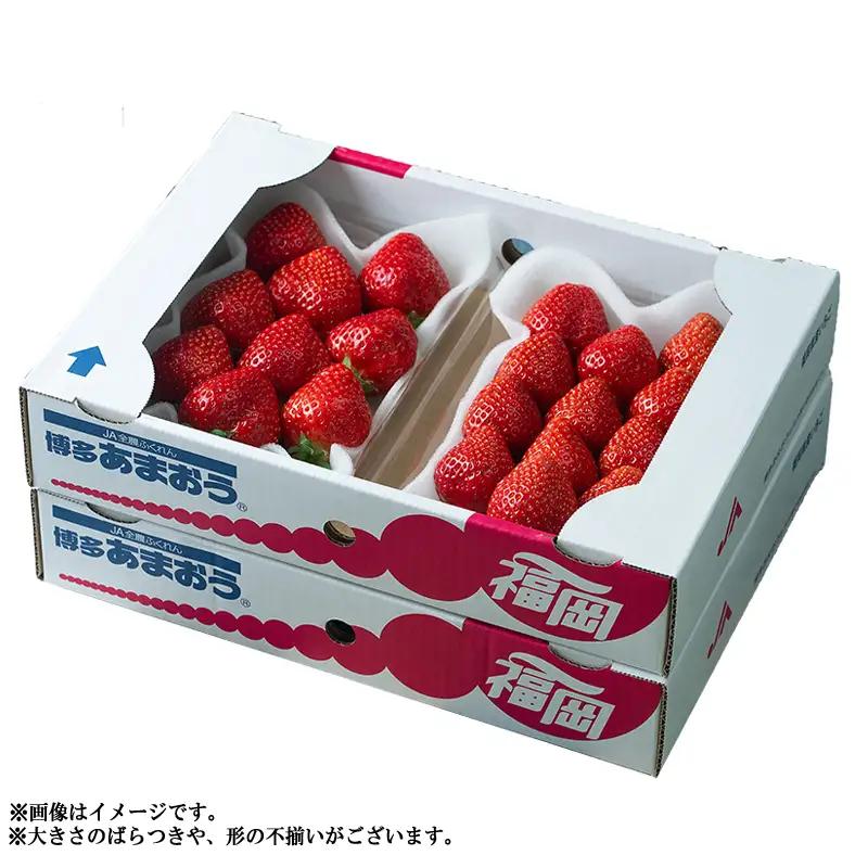 【先行予約／2027年出荷】【春】福岡産あまおう4パック 3V3
