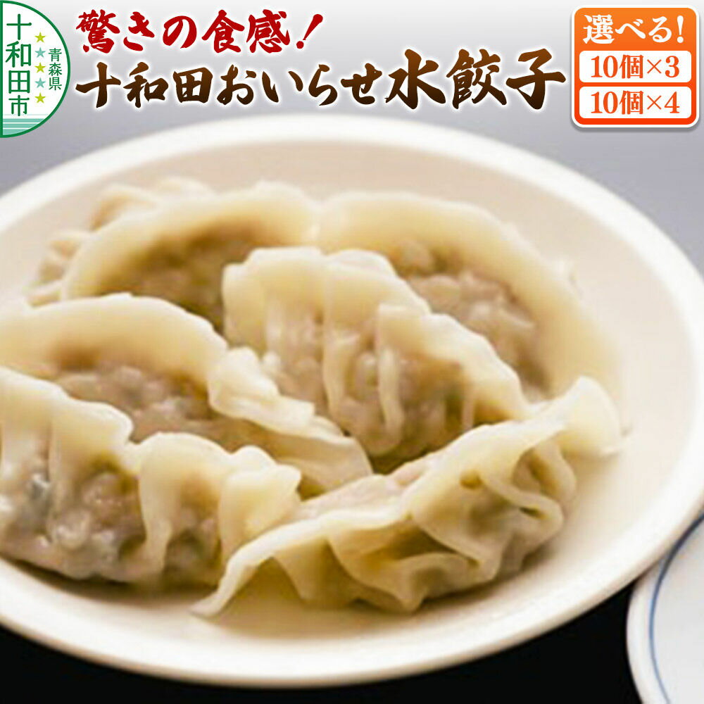 【ふるさと納税】驚きの食感！十和田おいらせ水餃子【選べる内容量：10個入り×3パック／10個入り×4パック】モッチモチ、ツルッツルの食感 [プレミアムにんにく 奥入瀬ガーリックポーク 青森県産 ぎょうざ 惣菜 レトルト]