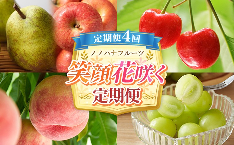
                  【定期便4回】ノノハナフルーツ 笑顔花咲く定期便 FY26-233
                