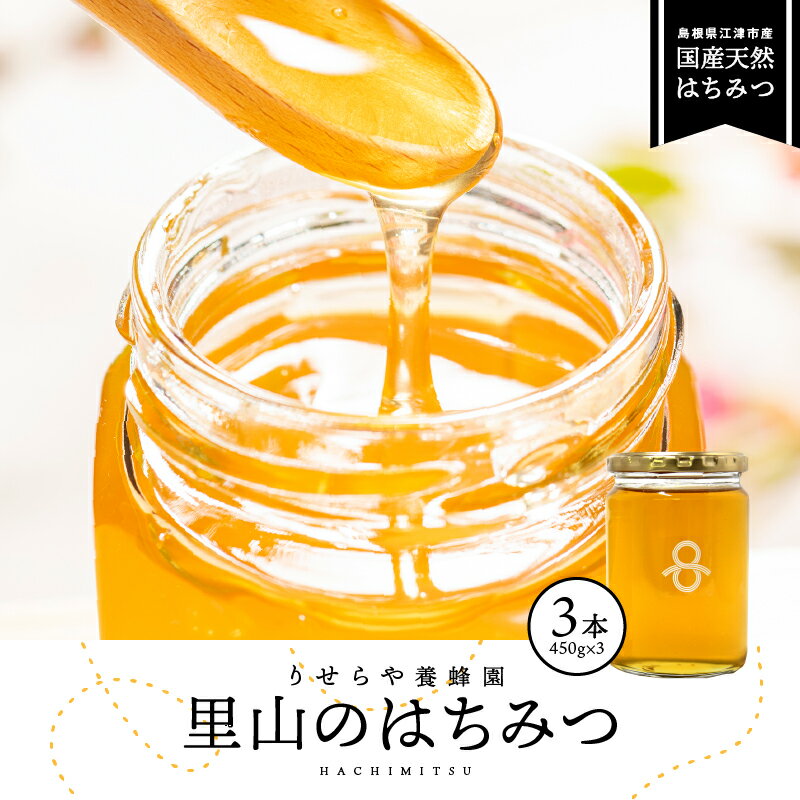 【ふるさと納税】里山のはちみつ3本(450g×3本)セット【RY-10】｜送料無料 国産 国産はちみつ 天然 はちみつ ハチミツ 蜂蜜 HONEY Honey ハニー 瓶 パン ハニートースト ホットケーキ ヨーグルト 料理 フルーティー プレゼント 贈答 贈り物 セット ギフト｜