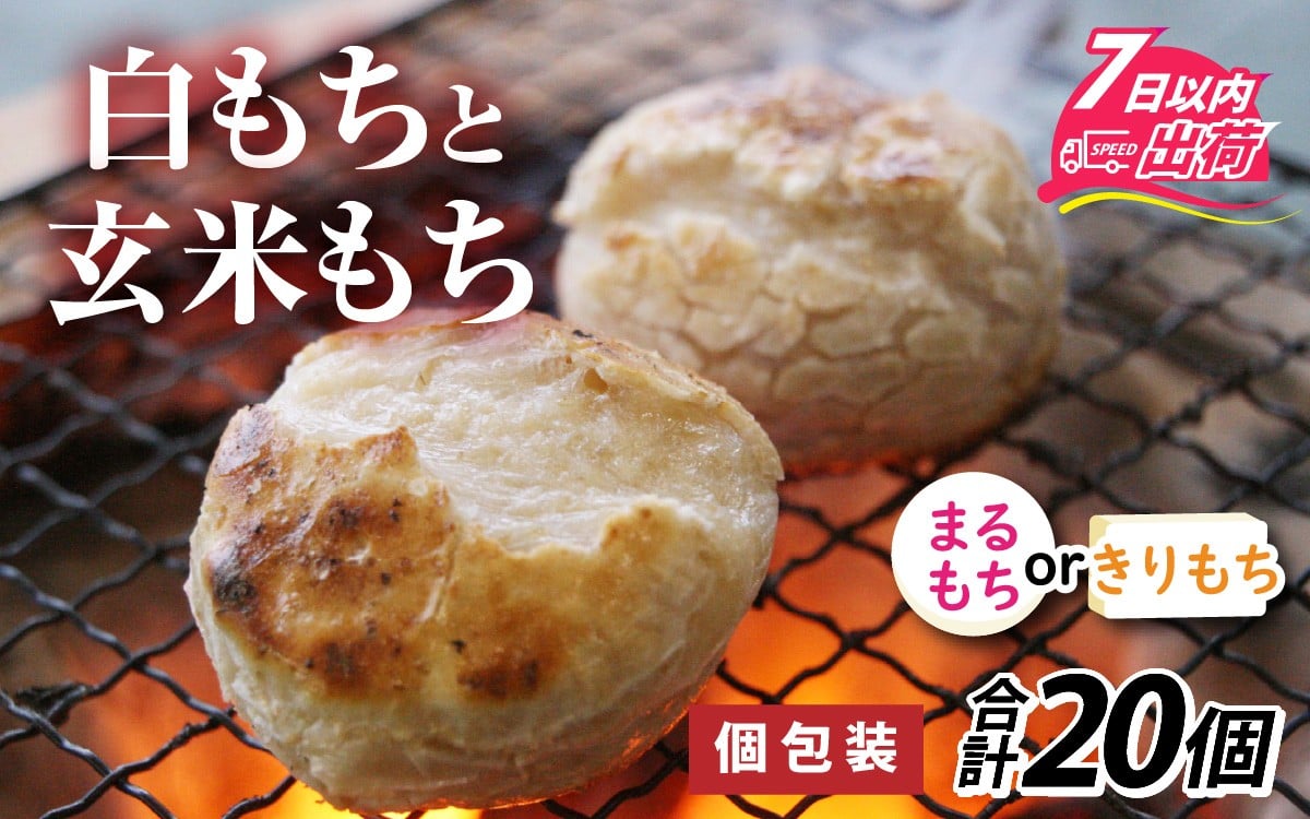 
            特別栽培米 選べる種類 白きりもちと玄米きりもち or 白まるもちと玄米まるもち 合計20個 / 個包装 餅 タンチョウモチ米 米 モチ コシ 粘り 国産 雑煮 ぜんざい 丸餅 年末 年始 正月 お餅 もち おもち 玄米 切り餅 角餅
          