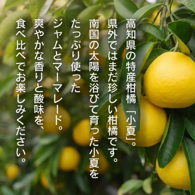 小夏 ジャム マーマレード セット ほっこりシトラスギフト  | さつまいも 小夏 レモン 柑橘 ヨーグルト パン ギフト 贈答用 芋 サツマイモ 長期保存 南国市