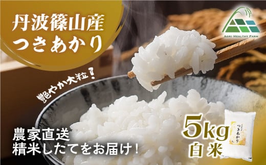 【2025年産】丹波篠山産つきあかり 白米 5kg 兵庫県 丹波篠山市 白米 100％単一原料米 産地直送米 おいしい お米 精米 ブランド おこめ 健康 送料無料 おすすめ 人気 口コミ
