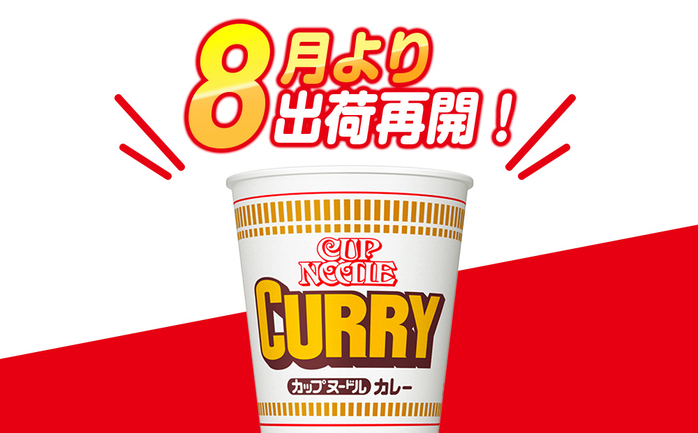 日清★カレーヌードル★ 2箱・合計40食