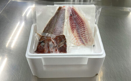 愛媛県産養殖真鯛フィレ2枚 BKBA001 鯛