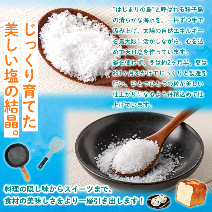 n330 種子島の自然の恵み！天日塩(計250g・50g×5個) 国産 種子島 天日干し 塩 ソルト 調味料 ミネラル 常温 【株式会社MAOMO FOODS】