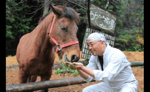 農家直送「山ちゃんのお米」コシヒカリ10kg