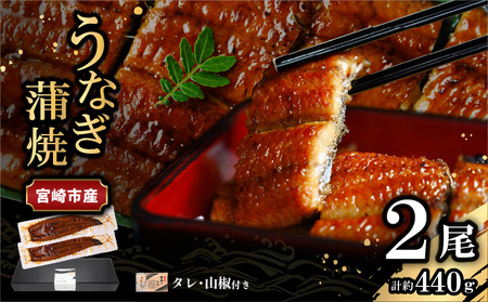 うなぎ 蒲焼 うなぎ[国産 2尾 440g]