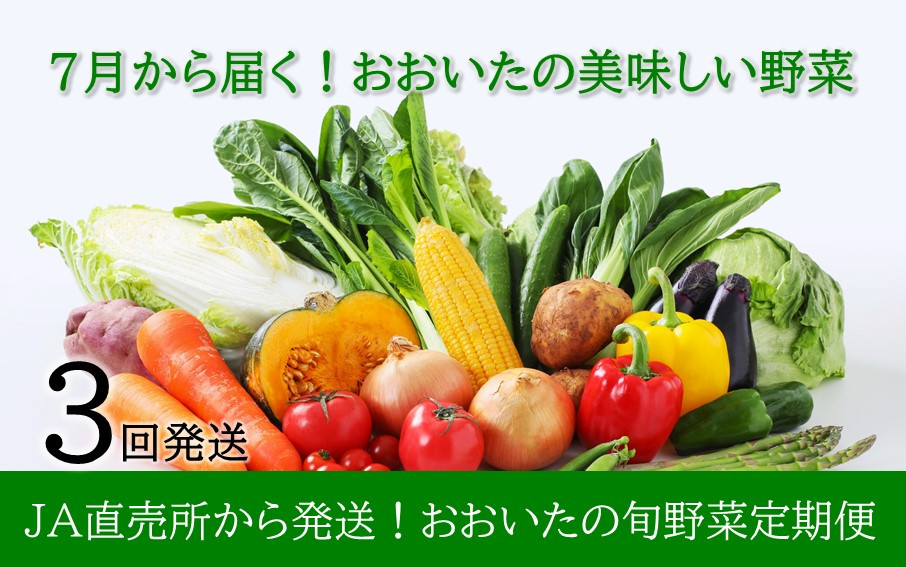 
7月からお届け!おおいたの旬野菜定期便/計3回発送_2395R
