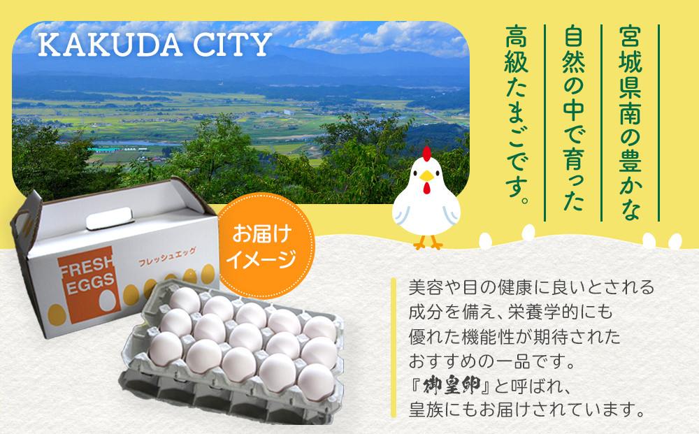おおえだファーム アスタキサンチン卵（白卵）Lサイズ 30個入り