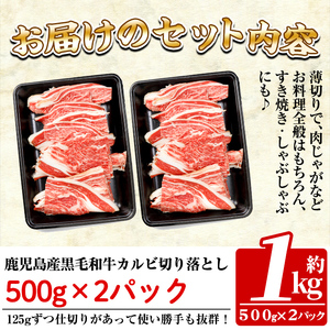 a328 鹿児島産黒毛和牛・カルビ切り落とし肉(計1kg・500g×2P)【財宝】牛肉 国産 切落し 薄切り 冷凍