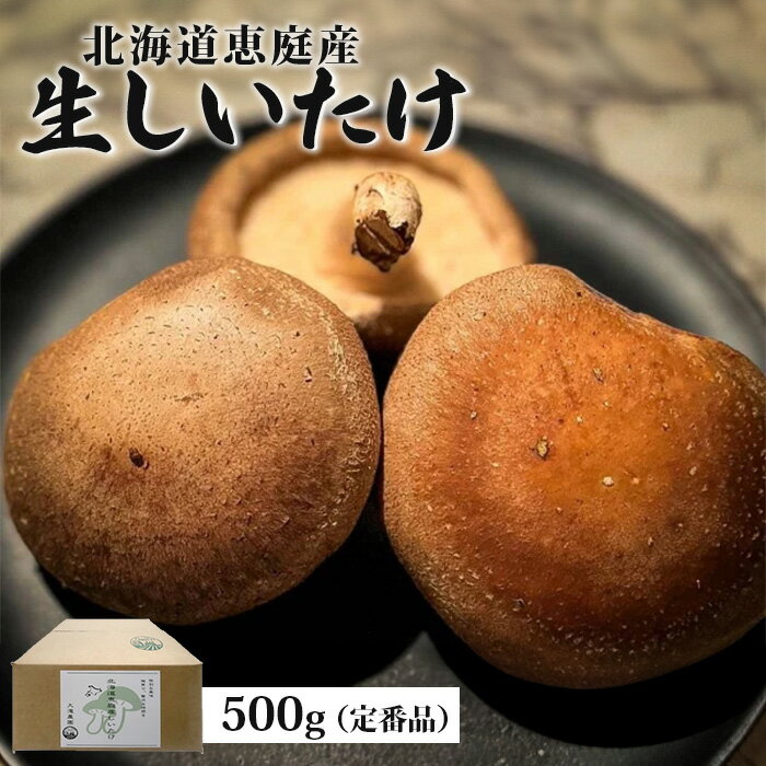 【ふるさと納税】北海道恵庭産 生しいたけ 500g 20個前後 数量限定 定番品 オンライン 申請 ふるさと納税 北海道 恵庭 生椎茸 しいたけ 椎茸 菌床 きのこ 栄養満点 肉厚 濃厚 採れたて 野菜 鮮度抜群 恵庭市【800005】