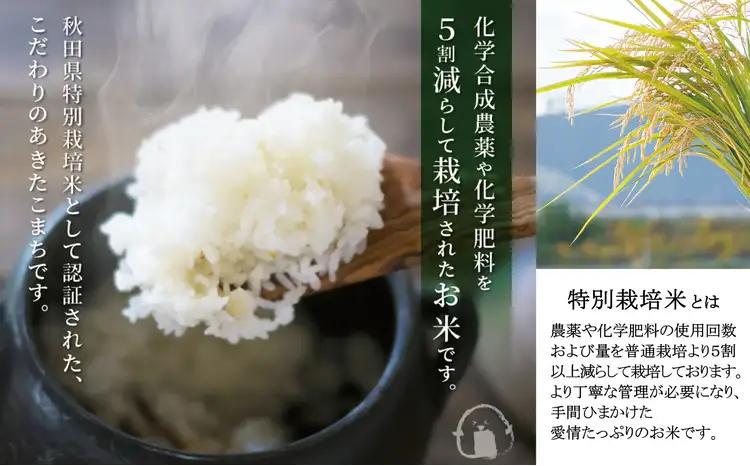 【令和7年産】秋田県特別栽培米あきたこまち「まごころ米」 5kg　 55P9010【真正ファーム】
