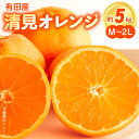 【ふるさと納税】【限定】 和歌山県有田産 完熟 清見オレンジ 5kg ひとつひとつ丁寧に厳選！生産者から直送【清見 みかん オレンジ タンゴール きよみ 柑橘 和歌山 有田】