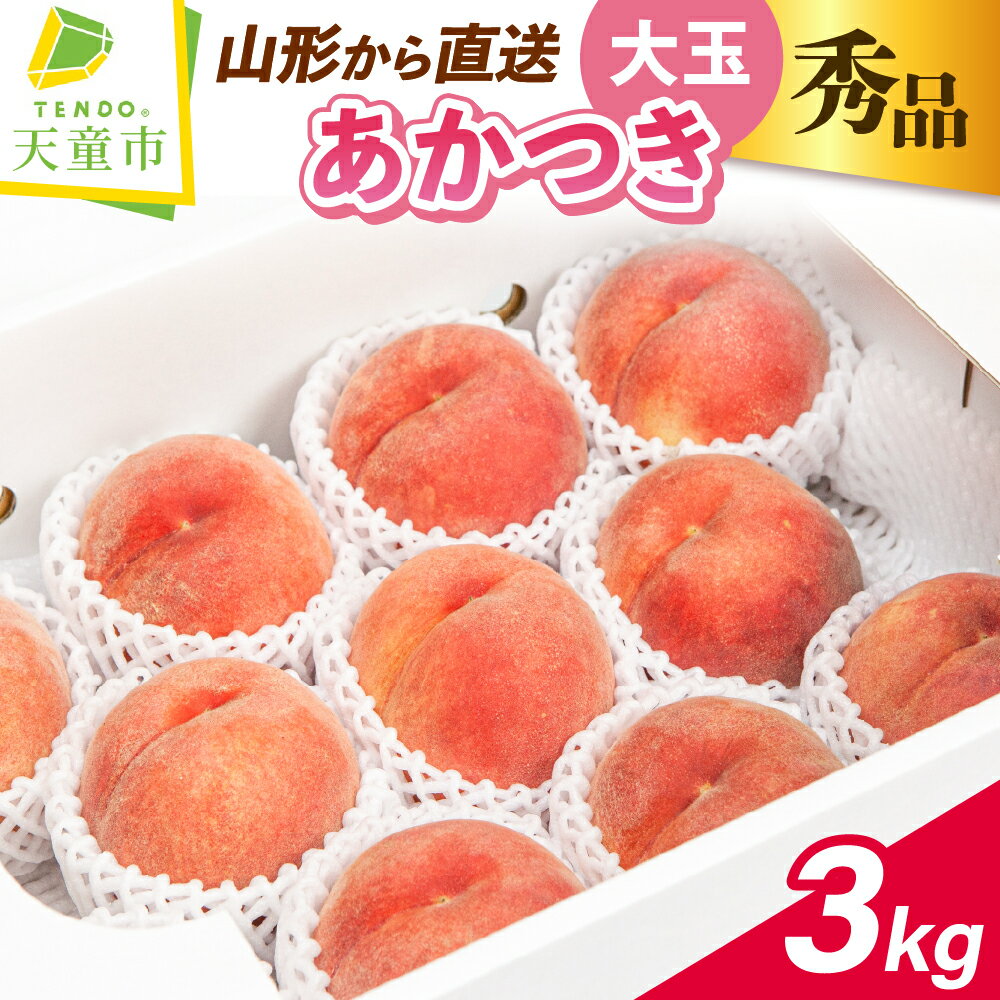 【ふるさと納税】 もも ( 大玉 あかつき ) 約3kg 山形県産 桃 白桃 果物 フルーツ 秀品 6〜10玉 のし 贈答 ギフト おすそ分け 旬 夏 期間限定 冷蔵便 送料無料 先行予約 【 山形県 天童市 】