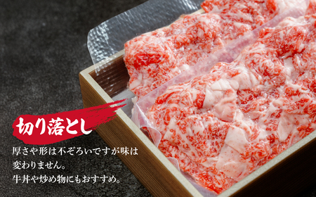 とちぎ和牛の切り落とし 1kg（200g×5）【栃木県共通返礼品】 | 和牛 切り落とし 栃木県 茂木町