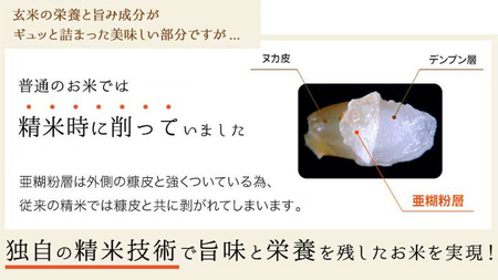 【 金芽米 】＜8月11日から17日までに出荷＞ つくばみらい市産 コシヒカリ 5kg × 2袋 ( 計 10kg ) 金芽米 きんめまい 米 お米 無洗米 茨城県 カロリーオフ 低カロリー 東洋ライ