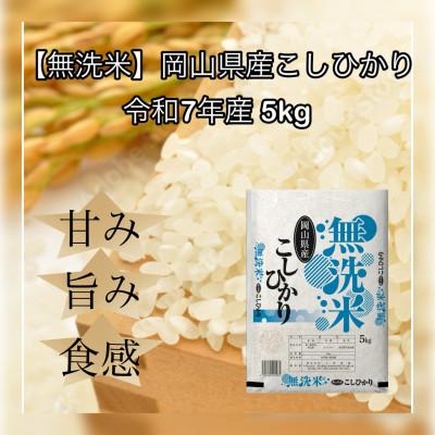 ふるさと納税 久米南町 【無洗米】令和7年産 岡山県産 こしひかり 5kg