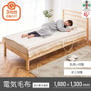 【ふるさと納税】電気かけしき毛布EHB-1813-Tブラウン | 掛け毛布 敷き毛布 188×130cm アイリスオーヤマ 掛け敷き兼用 丸洗い可能 ダニ退治 洗える 切タイマー付き