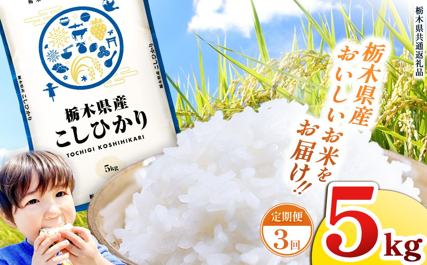 【定期便3回】栃木県産 お米 こしひかり 5kg |  栃木県 矢板市 【栃木県共通返礼品】