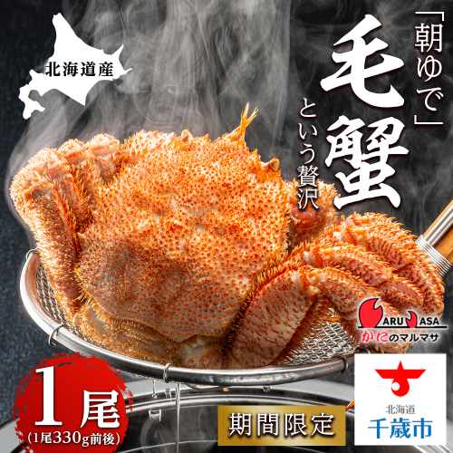 北海道産【朝ゆで】毛ガニ（330g前後）1尾 期間限定！≪かにのマルマサ≫