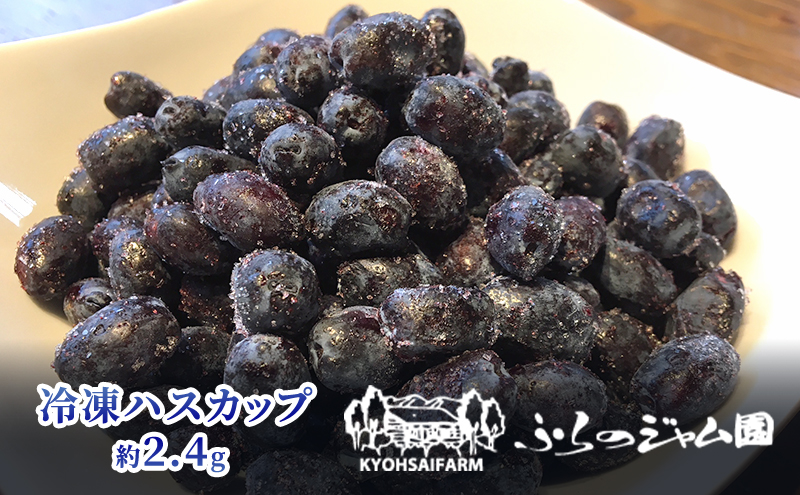 ◆ふらのジャム園◆ 冷凍 ハスカップ 8袋セット ( 果物 フルーツ 冷凍食品 新鮮 産地直送 北海道 道産 富良野 )