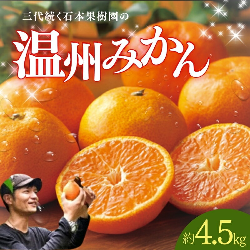 【ふるさと納税】 温州みかん 石本果樹園の美味しい 温州みかん 約4.5kg 35〜40玉前後【2026年11月初旬から1月下旬までに順次発送】 / みかん ミカン 蜜柑 柑橘 フルーツ くだもの 果物 先行予約 温州 産地直送 送料無料