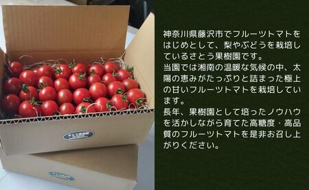 トマト フルーツトマト 1.2kg～1.8kg 1箱 フルティカ 藤沢市 野菜 とまと ミニトマト ハウス栽培