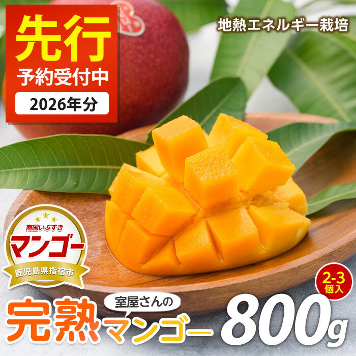 【ふるさと納税】＜先行予約受付中！2026年6月上旬以降順次発送＞鹿児島県指宿市産！室屋さんの完熟指宿産マンゴー(2個〜3個入・約800g) マンゴー 完熟マンゴー 完熟 フルーツ 果物 果実 デザート スイーツ 宮崎マンゴー 南国【中園久太郎商店】