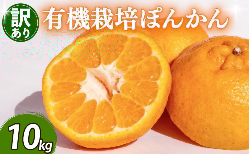 
            【早期予約 2026年2月上旬より順次発送】 訳あり ぽんかん 10kg サイズ混合 オーガニック 無農薬 防腐剤 不使用 有機 JAS認定 柑橘 みかん 蜜柑 家庭用 TJ010
          