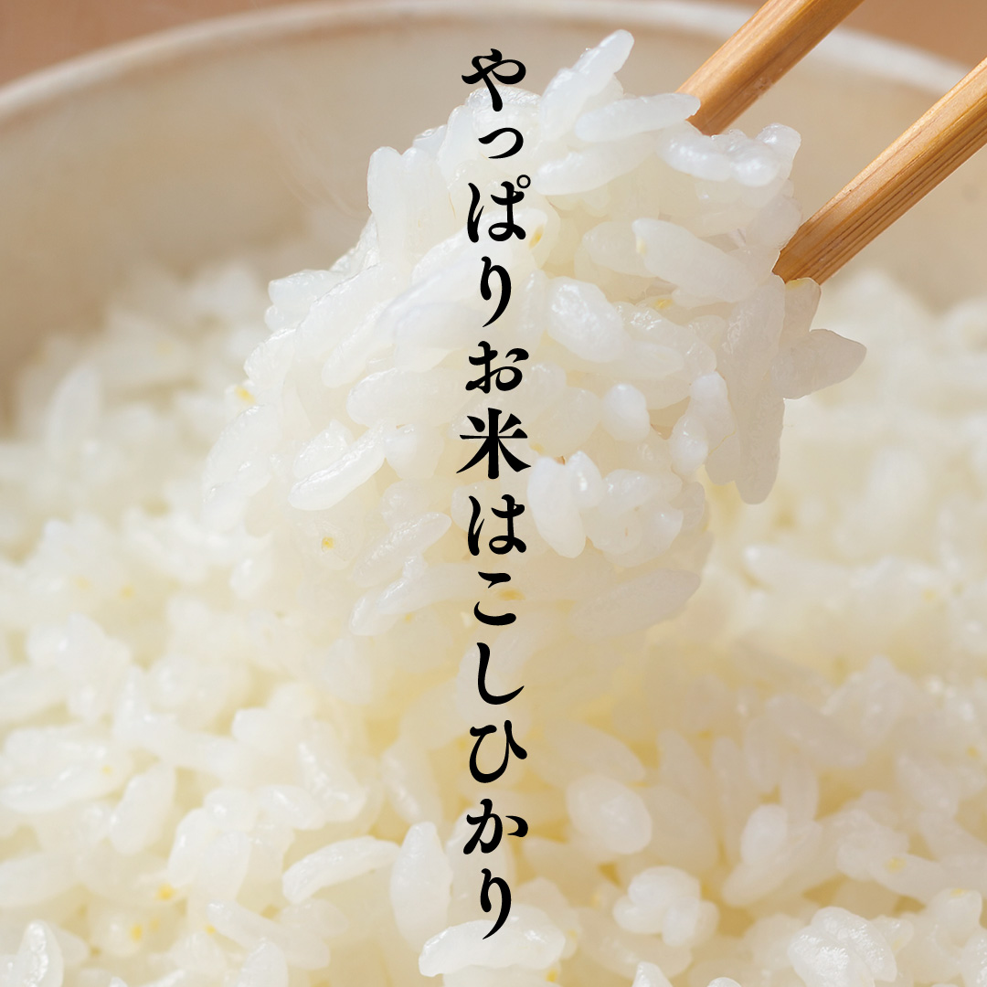 数量限定！【 金芽米 】 ＜7月下期出荷＞ つくばみらい市産 コシヒカリ 5kg × 2袋 ( 計 10kg ) 金芽米 きんめまい 米 お米 無洗米 茨城県 カロリーオフ 低カロリー 東洋ライス 節