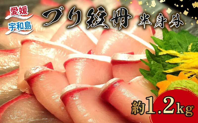 
                  ブリ 冊 半身分 約 1.2kg 短冊 有限会社 アクアプラス 先行予約 ブランド魚 鰤 ブランド ぶり buri 刺身 刺し身 お刺身 お刺し身 さしみ 海鮮丼 丼 丼ぶり どんぶり カルパッチョ サラダ しゃぶしゃぶ おすすめ 産地直送 真空パック お手軽 便利 海鮮 水産 加工品 食品 冷蔵 国産 愛媛 宇和島 D030-090003
                
