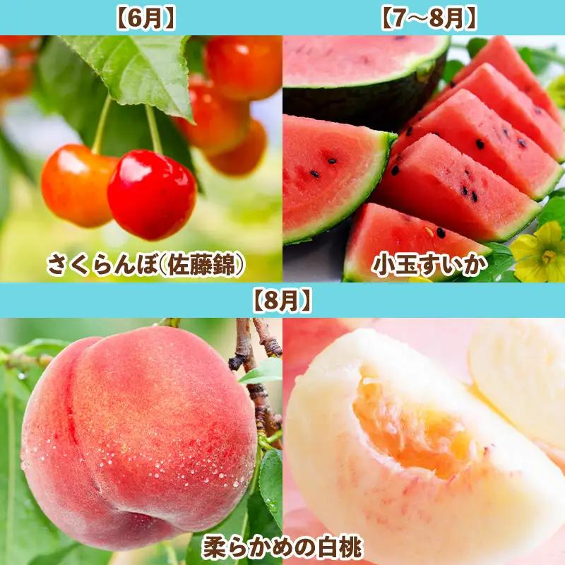 【定期便7回】旬です！YAMAGATA＊FRUIT FZ25-285