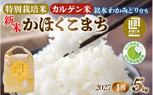 若緑産 「かほくこまち」 5kg 特別栽培米 【2027年1月発送】