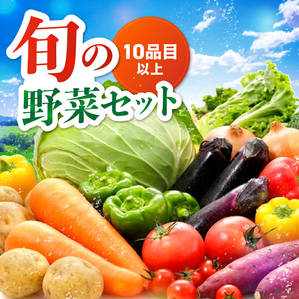 【ふるさと納税】九州野菜セット 大分県中津 春夏秋冬野菜セット10〜15品 | JA直売所直送野菜 新鮮 トマト ホウレンソウ 小松菜 水菜 チンゲン菜 ネギ キャベツ