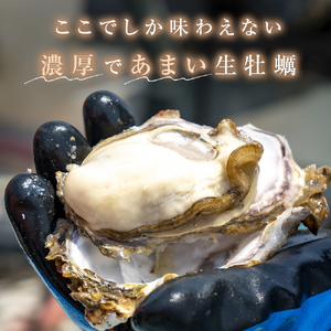 冷凍殻付き牡蠣　21個
