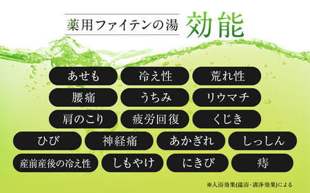 薬用ファイテンの湯 25g×10包(医薬部外品)｜京都 ファイテン 人気ブランド 入浴剤