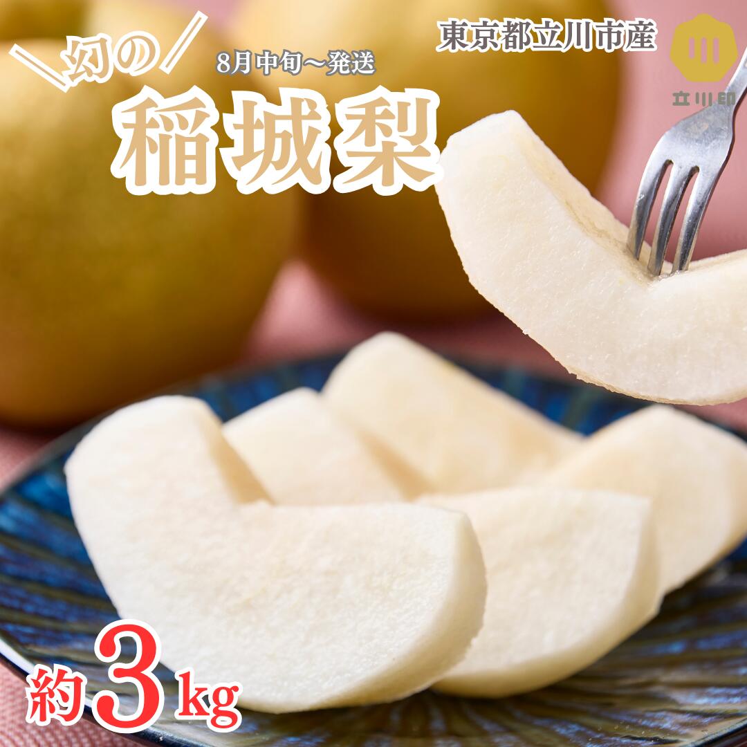 【ふるさと納税】希少 幻 稲城梨 梨 東京産 3kg 立川